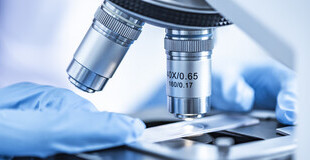 Bild Spermiogramm nach WHO 2021