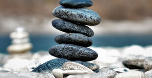 Bild Faszination Vagusnerv - die heilende Kraft in uns