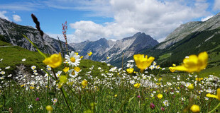 Bild Nachhaltigkeits-Botschafter:in